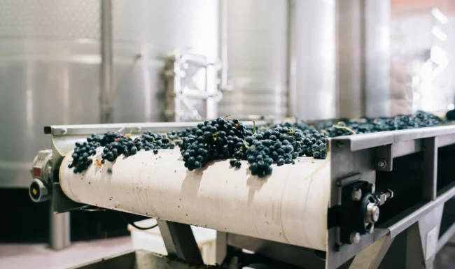 Wine production and custom crush